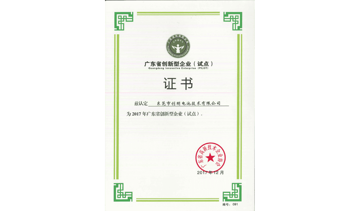 广东省创新型企业（试点）证书.png
